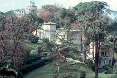 Vatican Museum.