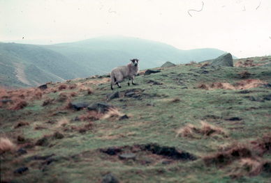 England.