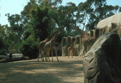 San Diego Zoo