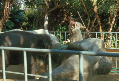 San Diego Zoo