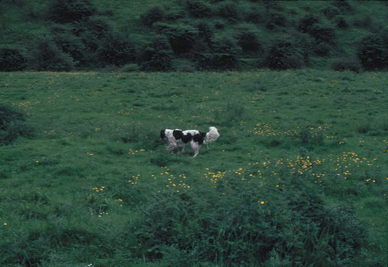 Lancashire, England