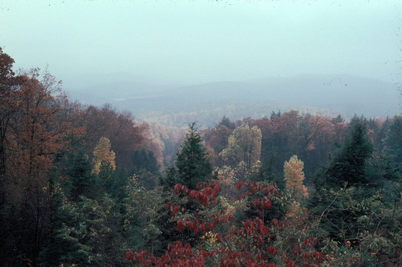 West Virginia