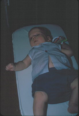 David