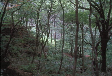 Korean Temples