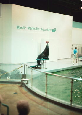 Mystic Aquarium.
