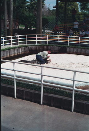 Florida Gator Farm.