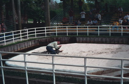 Florida Gator Farm.