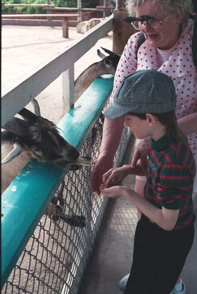 Florida Gator Farm.