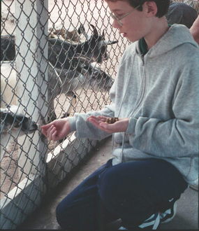 Florida Gator Farm.