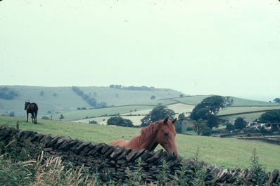 N. Saddleworth, Lancashire, U.K..