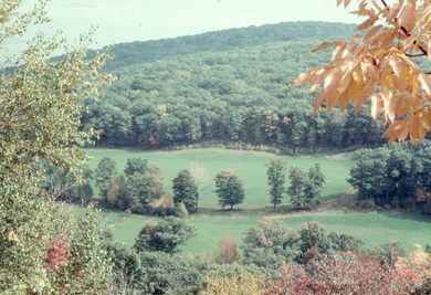 New England Fall Foliage