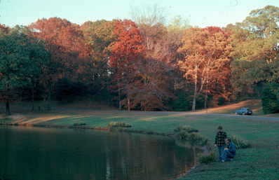 79 Fall Foliage.