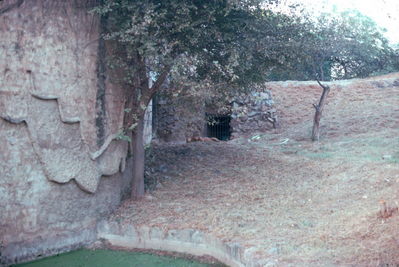 Zoo.