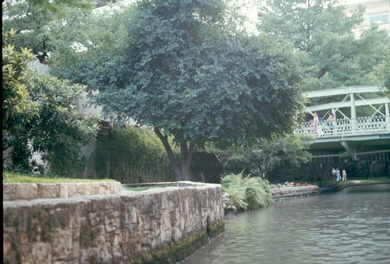 San Antonio, TX