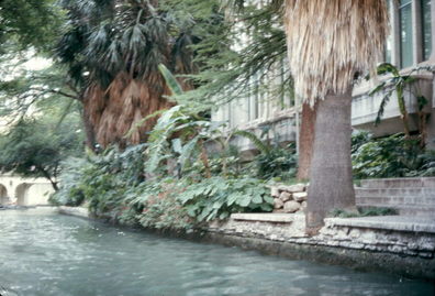 San Antonio, TX