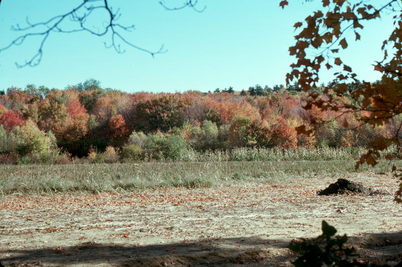Massachusetts Bicycling Trips