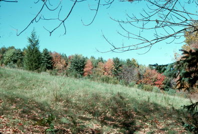 Massachusetts Bicycling Trips