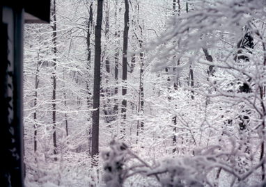 Laurel, MD