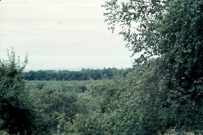 Massachusetts Bicycling Trips
