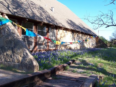 Blue Bonnets.