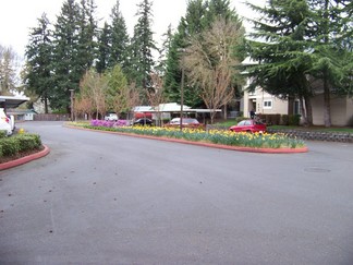 Autum Chase flowers.