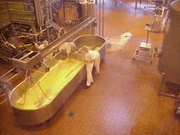 Tillamook Cheese Factory Demo.