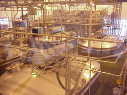 Tillamook Cheese Factory Culturing Tanks.