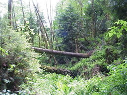 Fall Creek Reservoir Trail.