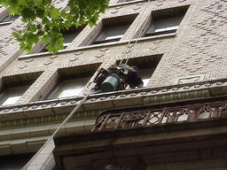 Window Washer