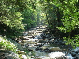 Bash Bish Falls Trail.