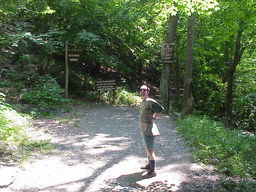 Bash Bish Falls Trail.