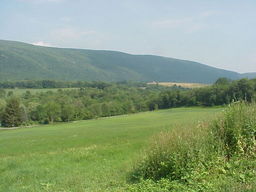 Ridge.