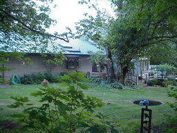 Blue Pearl Farm, Syda Yoga.