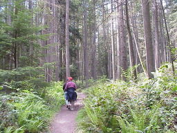 Bridal Trail, Bellevue, WA.
