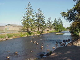 Oregon State Penitentiary, Salem, OR.
