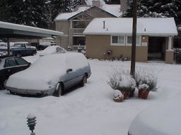2008 Artic Blast.
