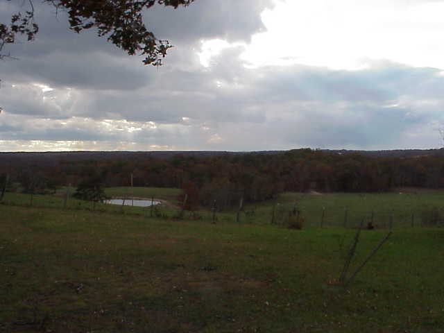 Pasture in Tennessee.