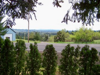 View from Carol's House.