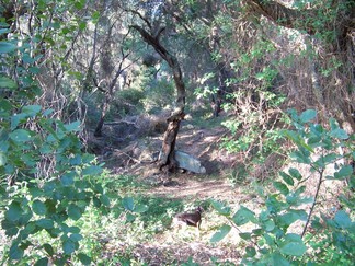 Lake Elsinore Canyons.