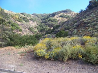 Lake Elsinore Canyons.