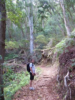 Kaunala Trail, Aieu, HI.
