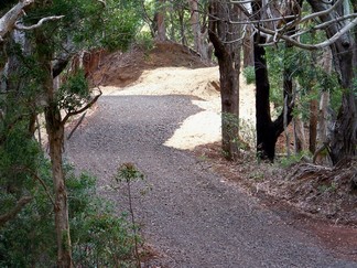 Kaunala Trail, Aieu, HI.