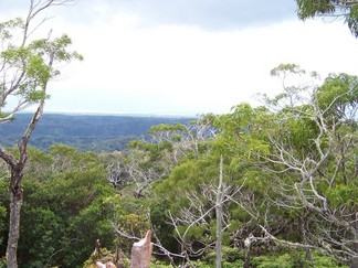 Kaunala Trail, Aieu, HI.