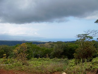 Kaunala Trail, Aieu, HI.