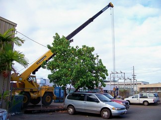 CDI, Waipahu, HI.