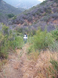 Canyons, Lake Elsinore, CA.