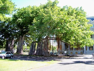 Royal Palace, Honolulu, HI.