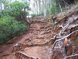 Moana Valley Hike.