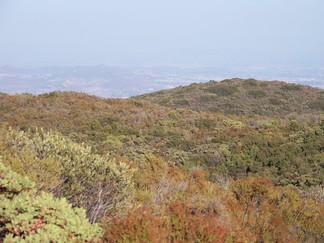 Cleveland National Forest.