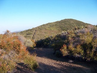 Cleveland National Forest.